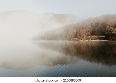 A beautiful misty morning on lake Bohinj in Slovenia. Alpine autumn landscape with fog and calm lake. Nobody on the scene just after sunrise. Copy space. Brown tones tiny waves on the water. 