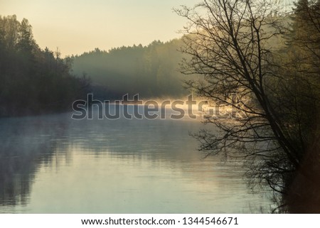 Similar – Image, Stock Photo Morning fog over river, meadow and forest. Nature sunlight scene