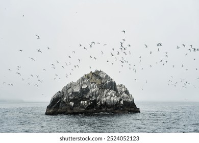 A beautiful misty seascape featuring a rocky island and seagulls gracefully flying above - Powered by Shutterstock