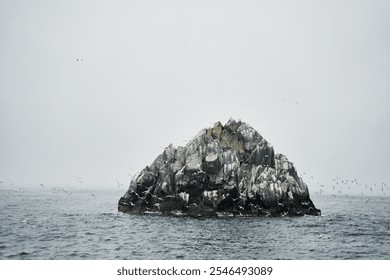 A beautiful misty seascape featuring a rocky island and seagulls gracefully flying above - Powered by Shutterstock