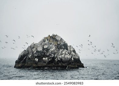 A beautiful misty seascape featuring a rocky island and seagulls gracefully flying above - Powered by Shutterstock