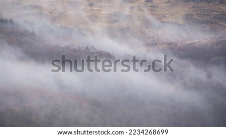 Beautiful misty Winter landscape drifting through trees on slopes of Ben Lomond in Scotland