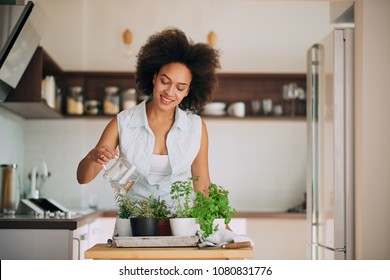 Beautiful mixed race woman gardening fresh herbs at her kitchen.
 - Powered by Shutterstock