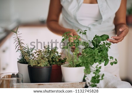 Similar – Hands make bouquet in vase