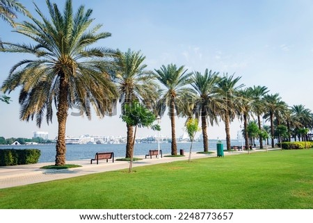 A beautiful modern urban park with a green lawn and palm trees on the seashore. Dubai United Arab Emirates.