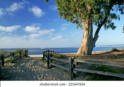 Beautiful Monterrey Park In Monterey ,California