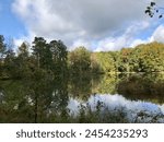 Beautiful Morgan County Alabama Landscape with Lake Reflection on a Cloudy Day 