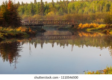 Beautiful Morning At Caddy Lake Bridge Over The River Trail