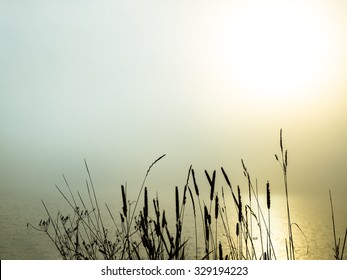 beautiful morning fog over