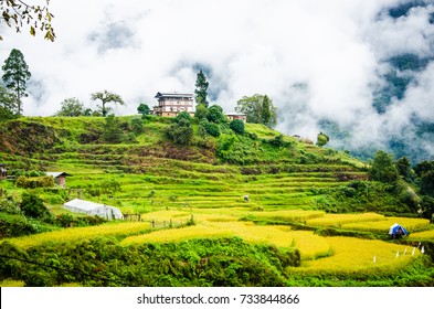 12 Punakha drive Images, Stock Photos & Vectors | Shutterstock