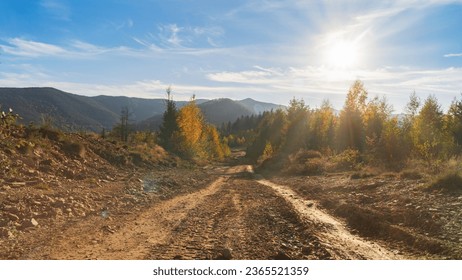 Beautiful morning landscape. Colorful autumn trees on a hills in Carpathians, Ukraine. Sunny day in forested mountain slope. Scenic calm mood background. Rural road adventures. - Powered by Shutterstock