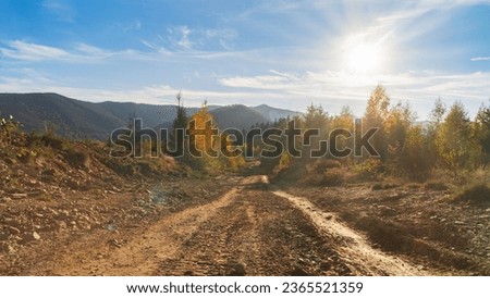 Beautiful morning landscape. Colorful autumn trees on a hills in Carpathians, Ukraine. Sunny day in forested mountain slope. Scenic calm mood background. Rural road adventures.