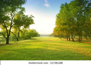 beautiful morning light in public park with green grass field 