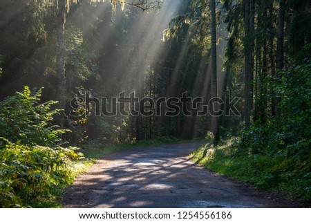 Similar – Image, Stock Photo beautiful evening light shining through window of a cottage