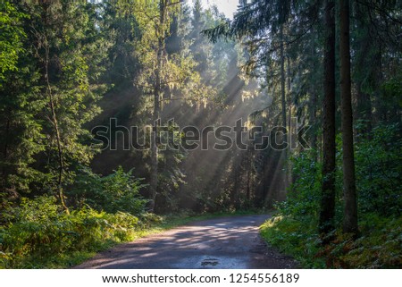 Similar – Image, Stock Photo beautiful evening light shining through window of a cottage