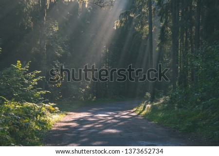 Similar – Image, Stock Photo beautiful evening light shining through window of a cottage