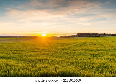 Beautiful morning sunrise ,green meadow with golden hour with lanscape frame.