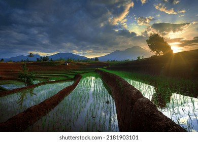 Beautiful morning view of Indonesia. Panoramic view of rice terraces