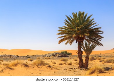 Beautiful Moroccan Mountain Landscape In Desert With Oasis