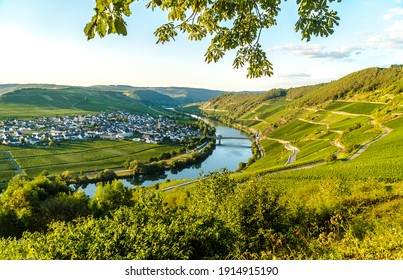 Beautiful moselle valley with view to Trittenheim in Germany - Shutterstock ID 1914915190