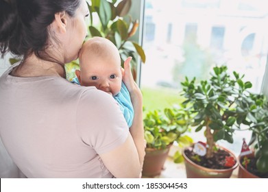 Beautiful Mother Holding In Arms Her Little Cute Newborn Infant Son. Baby Facial Expressions. Family At Home By The Window. Healthy Child, Concept Of Hospital And Happy Motherhood. Nursery.