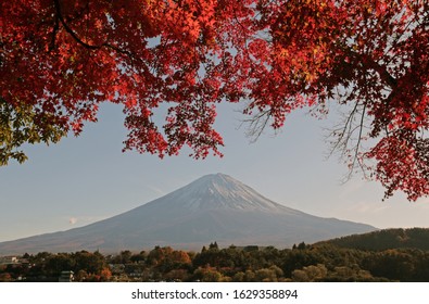 Beautiful mount Fudji with red maple autumn leaves. Momidji season. Lake Kawaguchi, Japan
