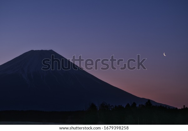 画像ページを表示します 画像