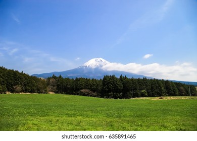 Beautiful Mount Fuji, Japan., Mount Fuji With Green Field And Blue Sky.