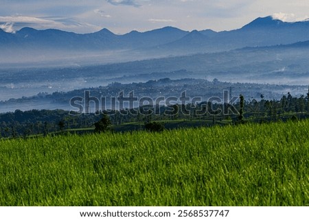 Similar – Image, Stock Photo Mountains covered with fog near lake in Thailand