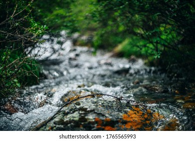 Beautiful mountain creek with rich flora in forest. Big stone with mosses and lichens in shiny water stream of mountain creek on bokeh background. Atmospheric landscape with small river among thickets