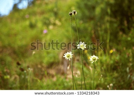 Similar – Family outing to the countryside