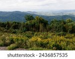 Beautiful mountain landscape from a bird