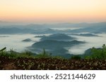 Beautiful Mountain landscape foggy windy mountain range green landscape asian farm. Amazing Landscape mountain green field meadow white cloud blue sky on sunrise. Countryside sunlight heaven scenery