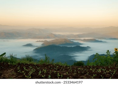 Beautiful Mountain landscape foggy windy mountain range green landscape asian farm. Amazing Landscape mountain green field meadow white cloud blue sky on sunrise. Countryside sunlight heaven scenery - Powered by Shutterstock