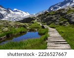 Beautiful mountain landscape near Mandrone refuge, Adamello group, Italy. View of the wooden footbridge over the bog and the glacier.