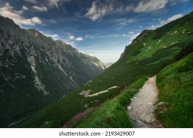 Beautiful Mountain Landscape With A Mountain Path And Beautiful Green Meadows