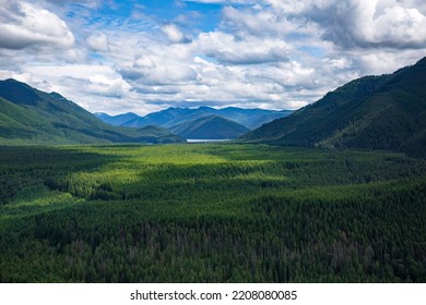Beautiful Mountain landscape in the Snoqualmie National Forest of Washington state. View from above of a natural pine forest in the Pacific Northwest USA. Natural beauty of a scenic background