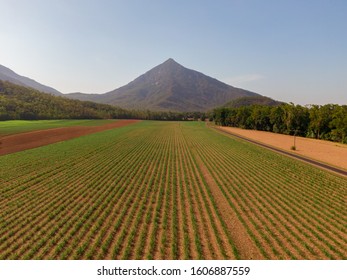 Walsh S Pyramid Images Stock Photos Vectors Shutterstock