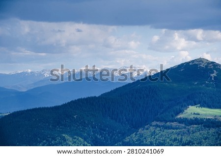 Beautiful mountain peak in clouds with evergreen fir trees foreground. Mount Khomiak peak with pine forest in Carpathian mountains Ukraine. View of the snow-capped mountains, Hoverla, and Petros