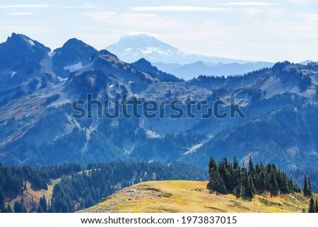 Similar – Image, Stock Photo wilderness