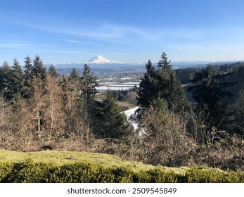 Beautiful mountain range and trees