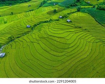 Beautiful mountain with rice terraces viewpoint at Sapa district, Lao Cai province, during trip HANOI to Sapa, Lao Cai Northwest Vietnam
Beautiful mountain with rice terraces viewpoint