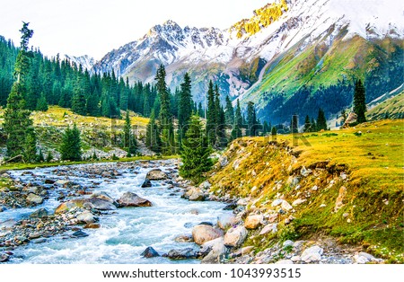 Beautiful mountain river landscape view