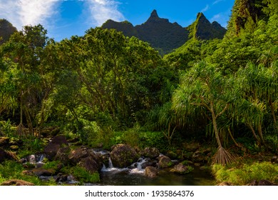 Beautiful mountain stream among lush greenery at Limahuli Garden on the island of Kauai, Hawaii. 