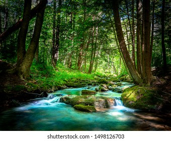 Beautiful Mountain Stream Flowing Through the Northern Pennsylvania Hemlock Forest