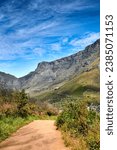 Beautiful mountain trail with bushes and plants with a cloudy blue sky and copy space. A popular destination for tourist in Table Mountain National park on Lions Head in Cape Town South Africa