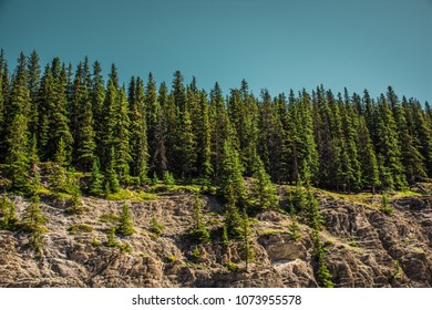 Beautiful Mountain Treeline View In Banff Alberta Canada