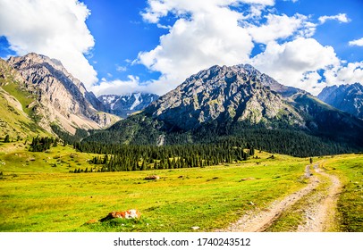 Beautiful Mountain Valley Road Landscape