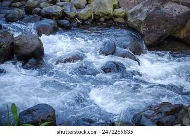 beautiful mountain water flow passing through river stream - Powered by Shutterstock