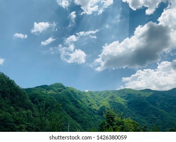 Hloveの写真素材 画像素材ポートフォリオ Shutterstock